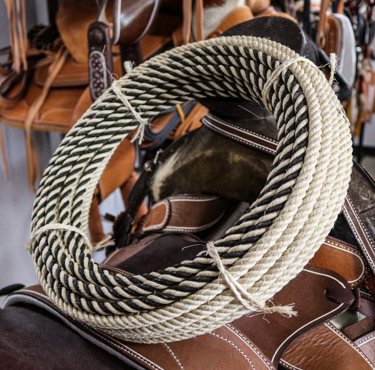 Charro Ixtle Black 17Mts (55FT) Maguey Soga Rope Lasso - M - Royal Saddles - Ropes/Sogas