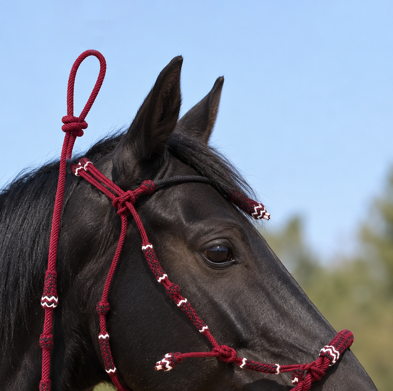 Charro Burgundy Bosalillo Cabresto Vino Riendas Bosal Halter