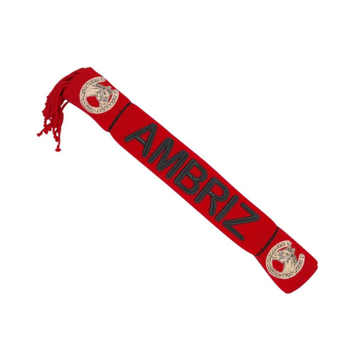 Ambriz Red Charro Saddle Mexican Sarape - M - Royal Saddles - Sarapes