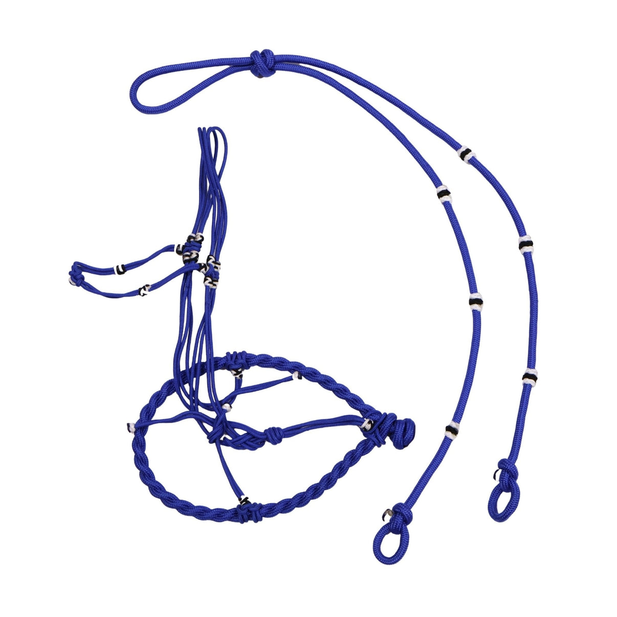 Charro Azul Halter Caballo Bosalillo/Rienda Set - M - Royal Saddles - Charro Bozal