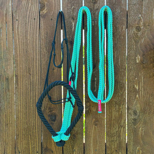 Charros Bosal Falsa/Rienda Turquoise Bosal Hackamore - M - Royal Saddles - Charro Bozal