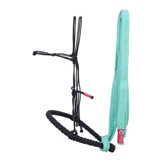 Charros Bosal Falsa/Rienda Turquoise Bosal Hackamore - M - Royal Saddles - Charro Bozal