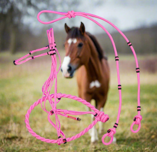 Charros Original Bosal/Reinda Set Charreria - M - Royal Saddles - Charro Bozal