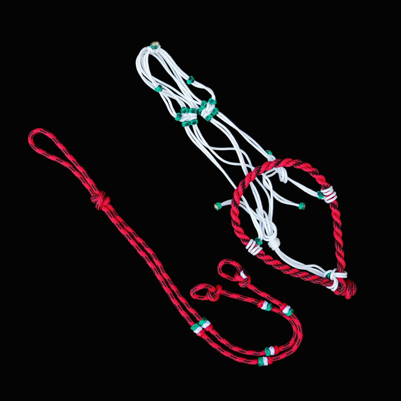 Charros Original MX Red Halter Bosal/Rienda Set - M - Royal Saddles - Charro Bozal