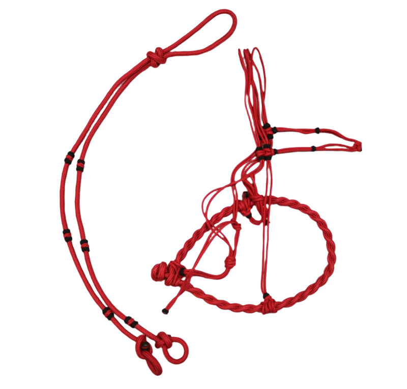 Charros Original Red Bosal/Rienda Rojo Horse Halter - M - Royal Saddles - Charro Bozal