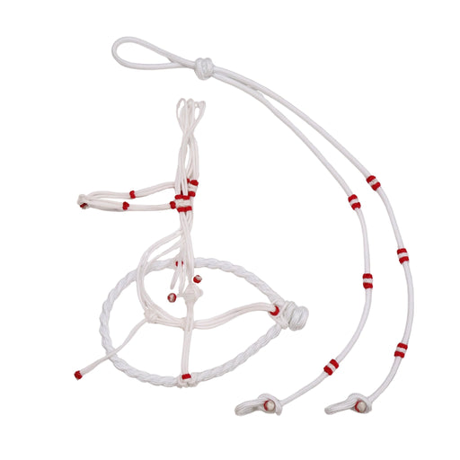 Charros White Halter Horse Bosal/Rienda Set - M - Royal Saddles - Charro Bozal