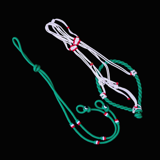 Green MX Charros Original Halter Bosal/Rienda Set - M - Royal Saddles - Charro Bozal