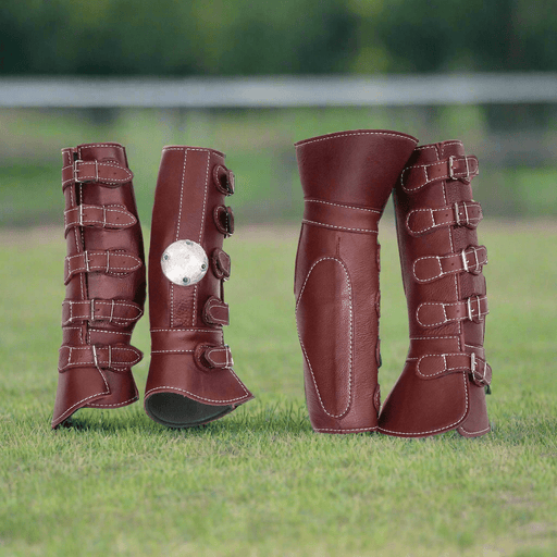 Protectores Para Caballo Vino Leg Boot - M - Royal Saddles - Horse Gear
