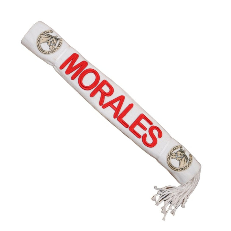 White Charro Saddle Morales Sarape Lienzo - M - Royal Saddles - Sarapes