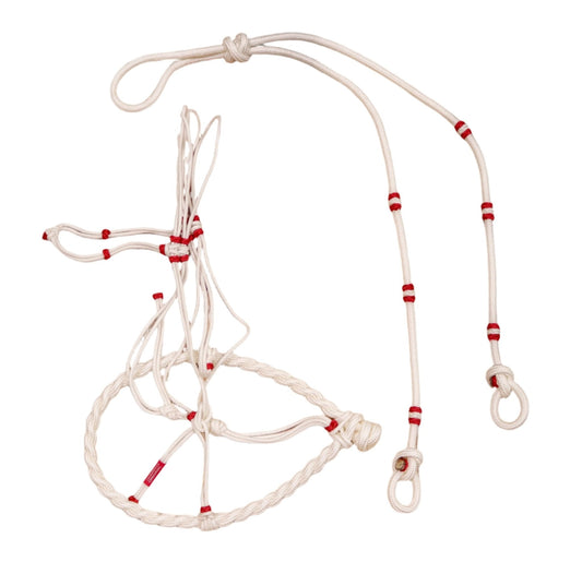 White Charros Original Bosal/Reinda Set Charreria - M - Royal Saddles - Charro Bozal